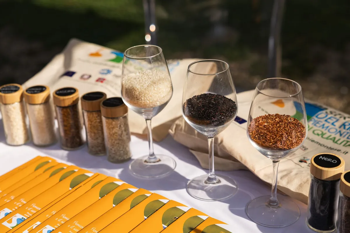 Alto Piemonte: da Risò alle Notti del Vino, settembre sostenibile
