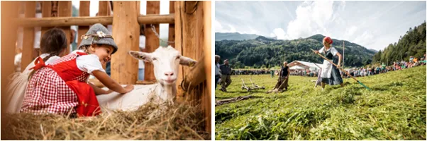 Festa dell'Agricoltura in Val di Pejo: Mercati e Antichi Mestieri