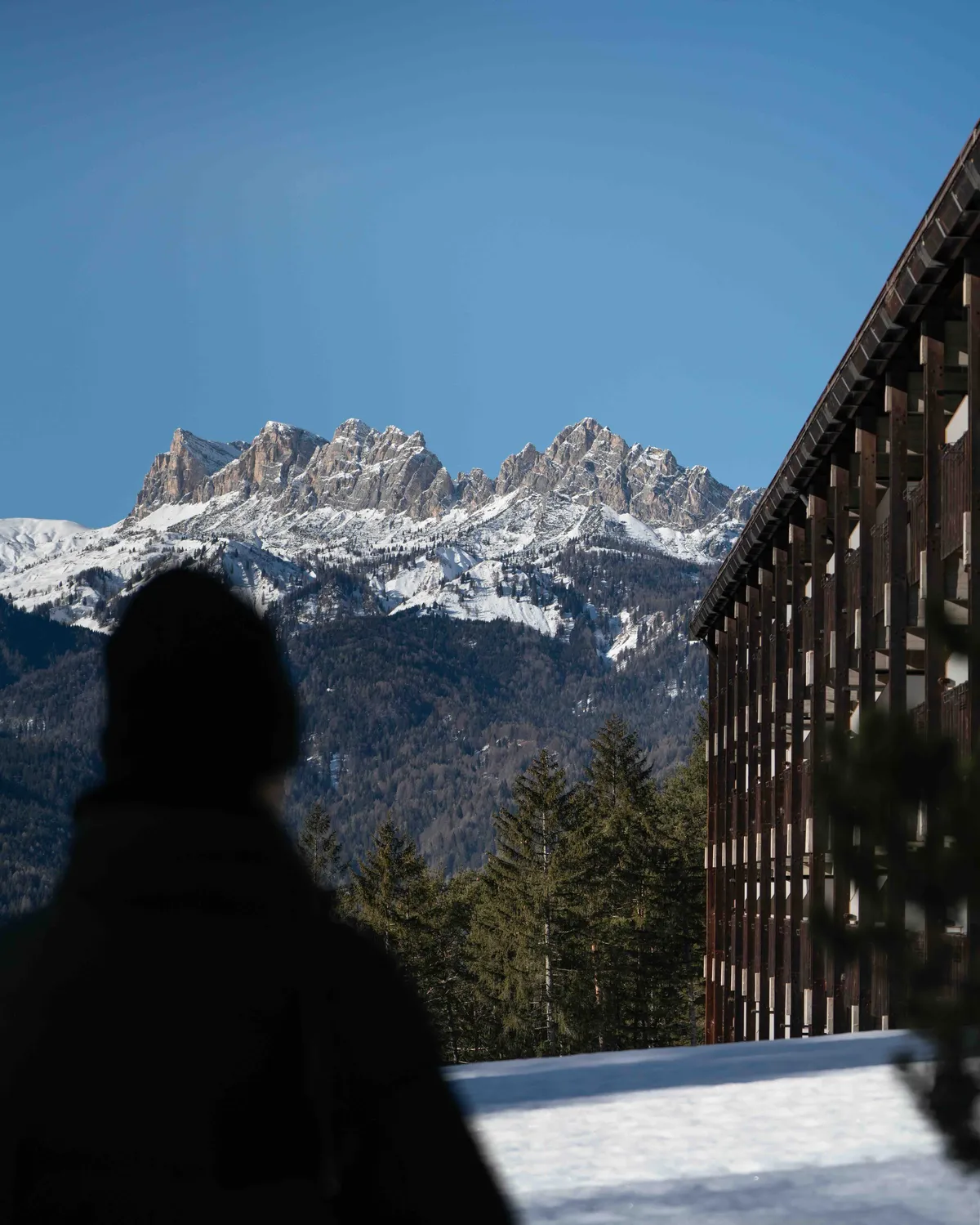 Gli hotel da Abbazia alle Dolomiti: Gellner e l'architettura alpina