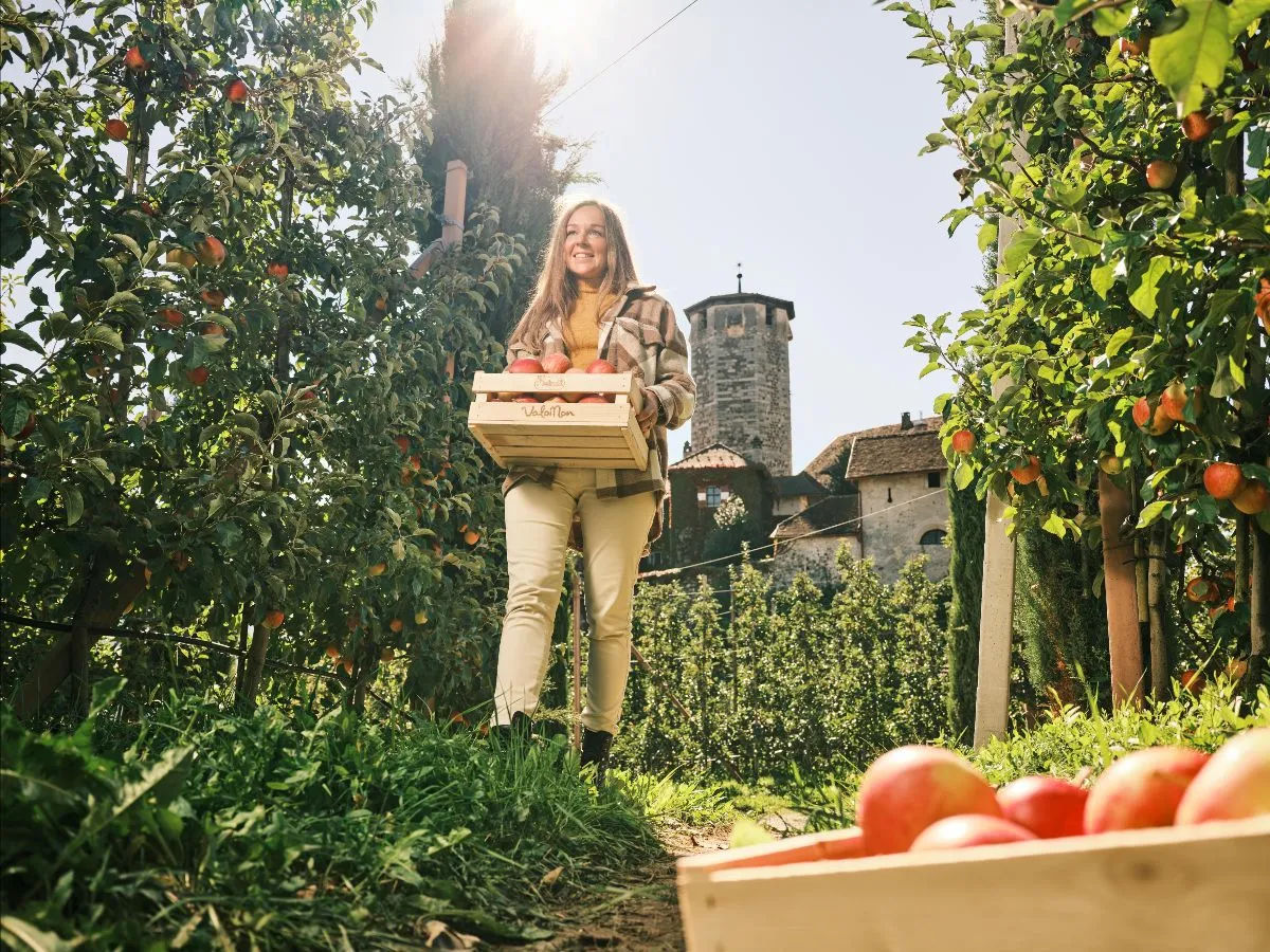 La Val di Non: Un Autunno da Scoprire tra Castelli e Tradizioni