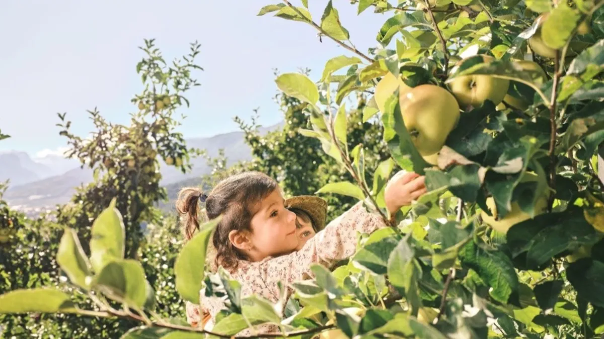 La Val di Non: Un Autunno da Scoprire tra Castelli e Tradizioni