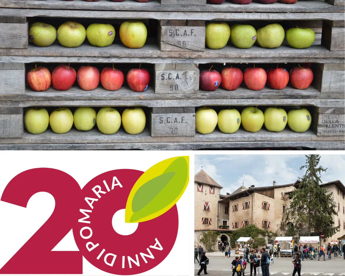 Pomaria 2026: vent’anni e il ritorno al borgo di Casez