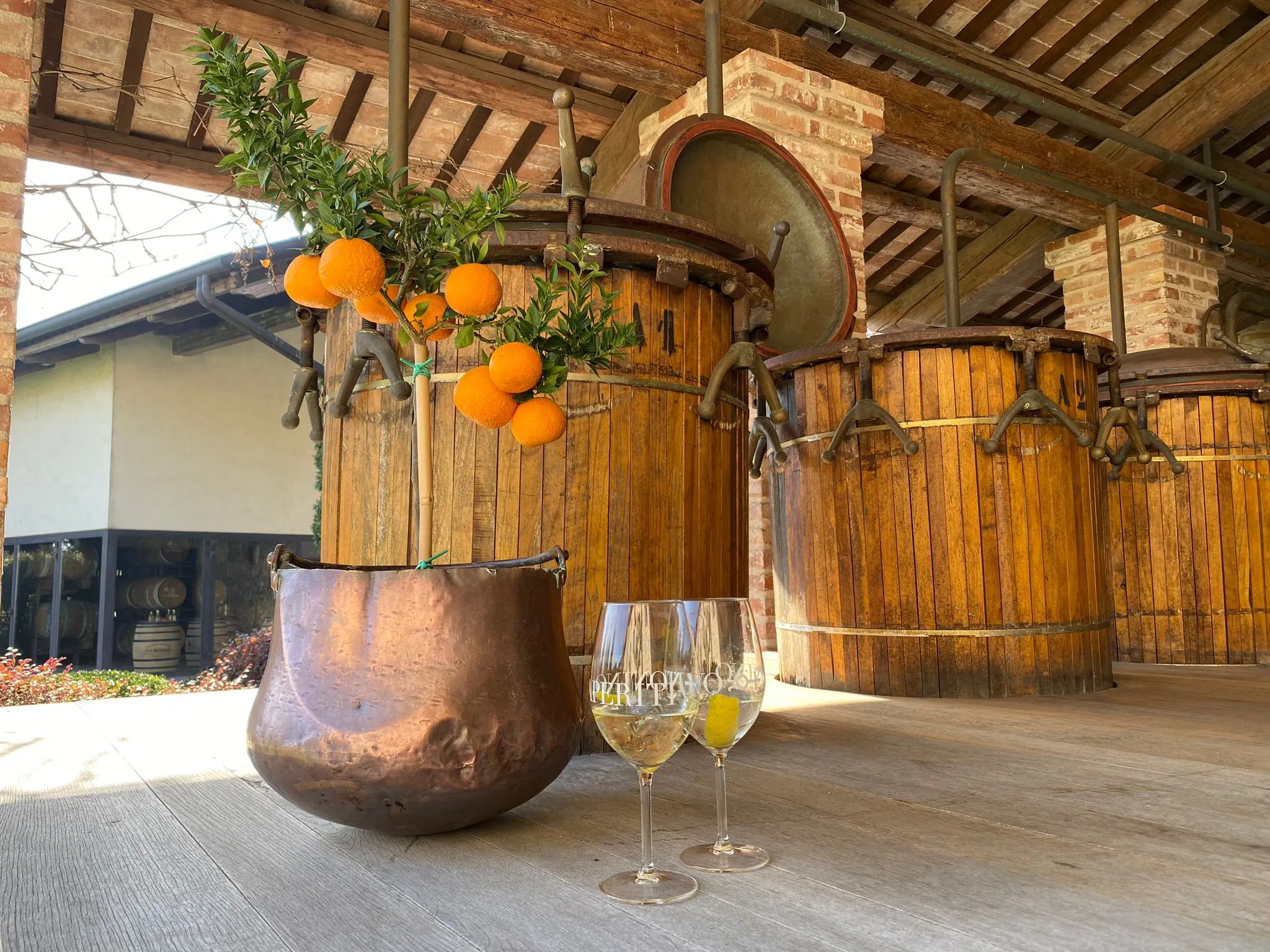 Borgo Nonino: un'esperienza unica nella Boutique e Distilleria