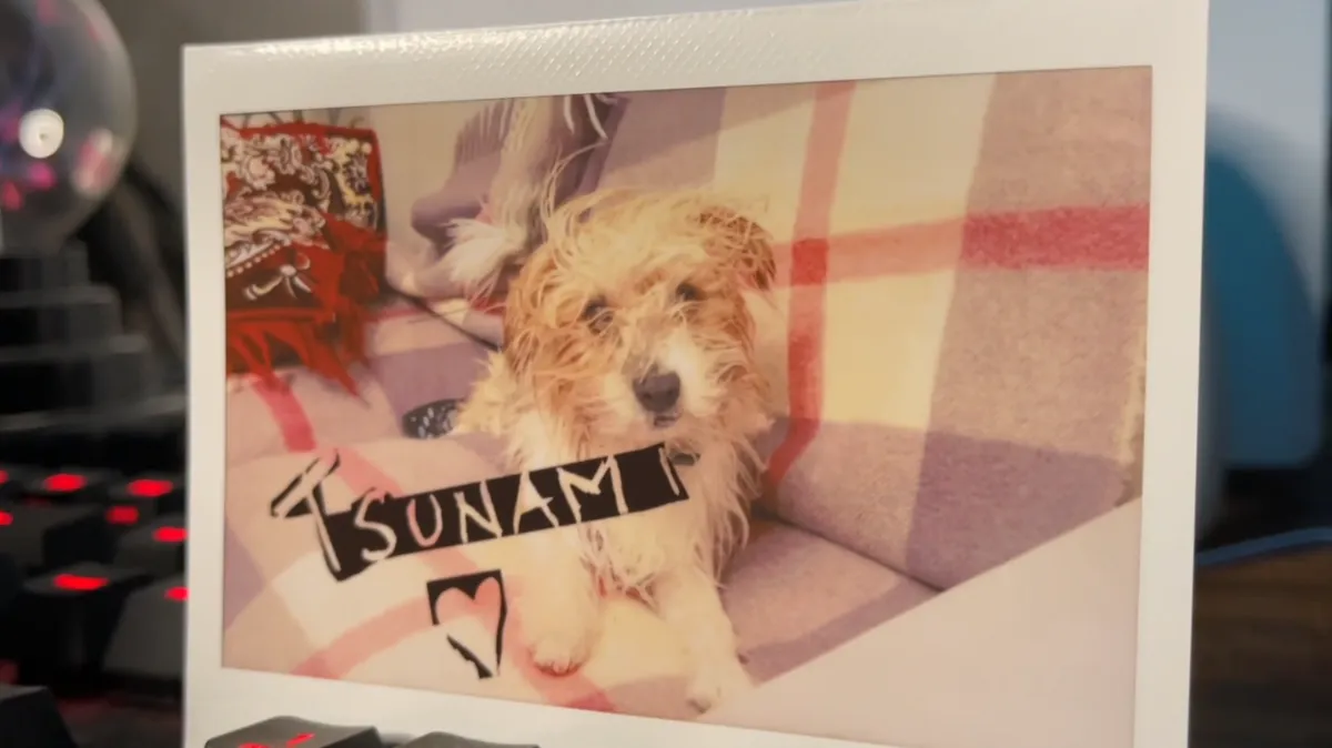 Recensione Recensione Fujifilm Instax Link Wide: la stampante istantanea definitiva