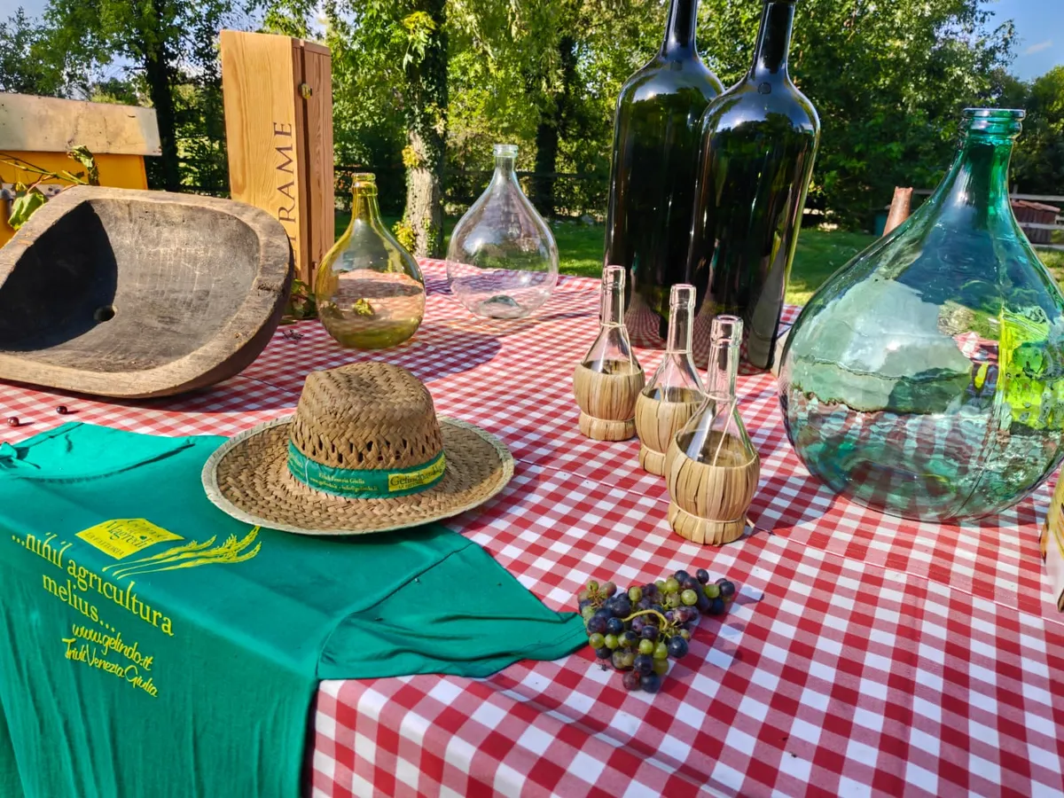 Gelindo dei Magredi Vendemmia Didattica: tradizione per famiglie