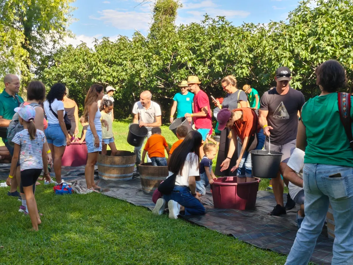 Gelindo dei Magredi Vendemmia Didattica: tradizione per famiglie