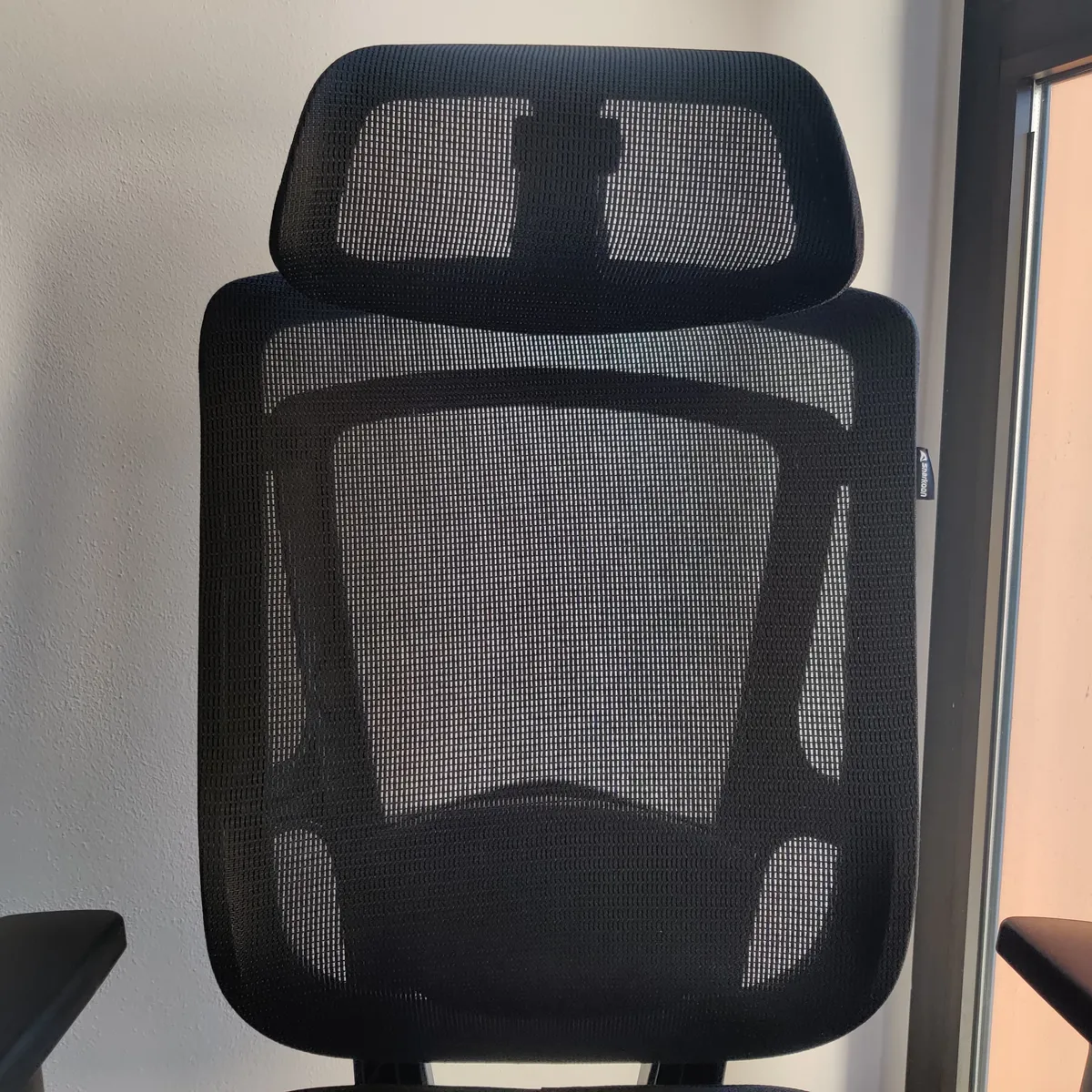Recensione Recensione Sharkoon OfficePal C10: sedia ergonomica per l'ufficio