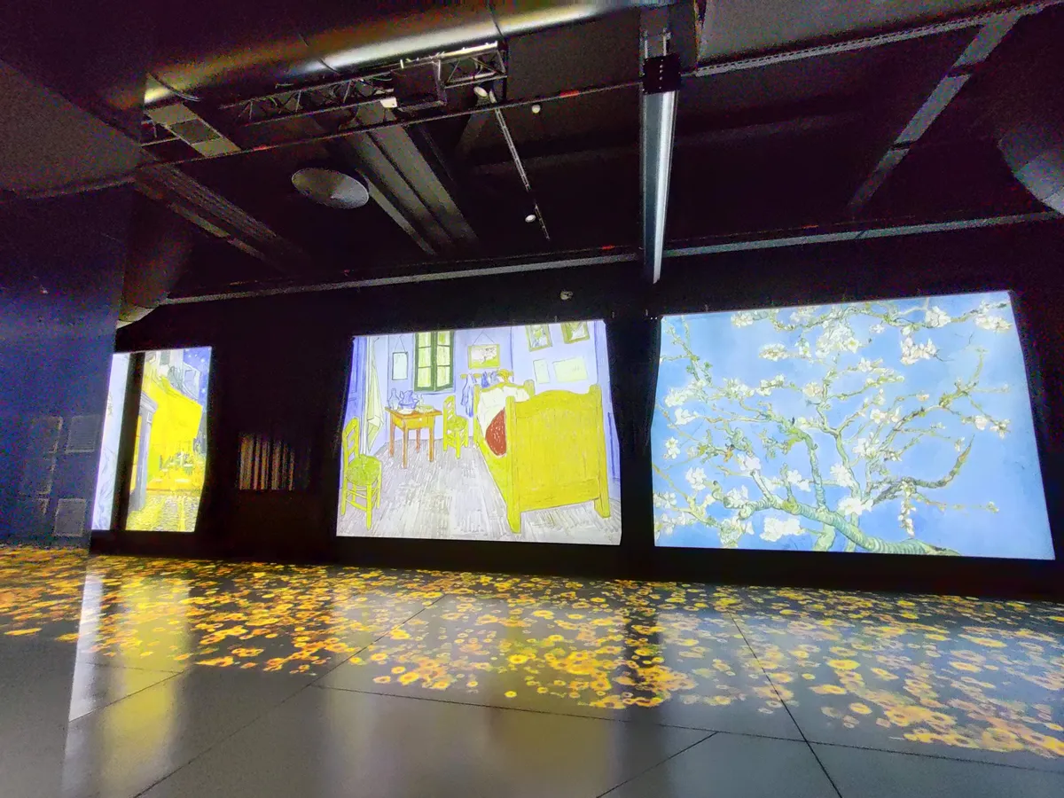 Recensione Recensione Van Gogh. Il Sogno: Mostra Immersiva al Tiare Shopping