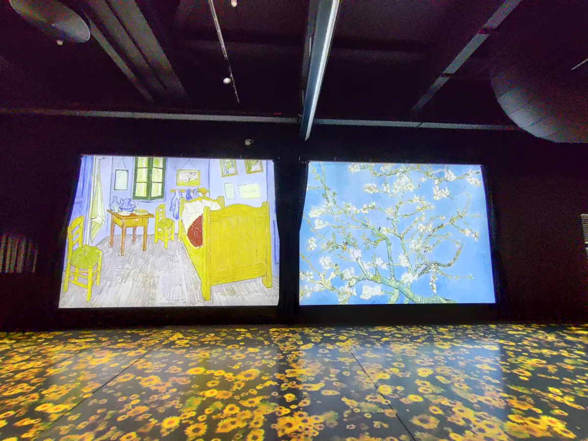 Recensione Recensione Van Gogh. Il Sogno: Mostra Immersiva al Tiare Shopping