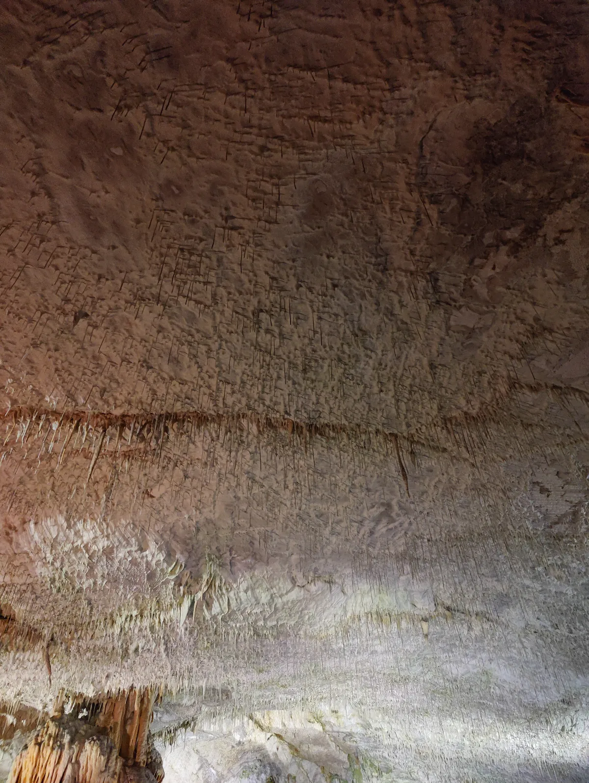 Recensione Recensione Grotte di Postumia: trenino, storia ed esperienza