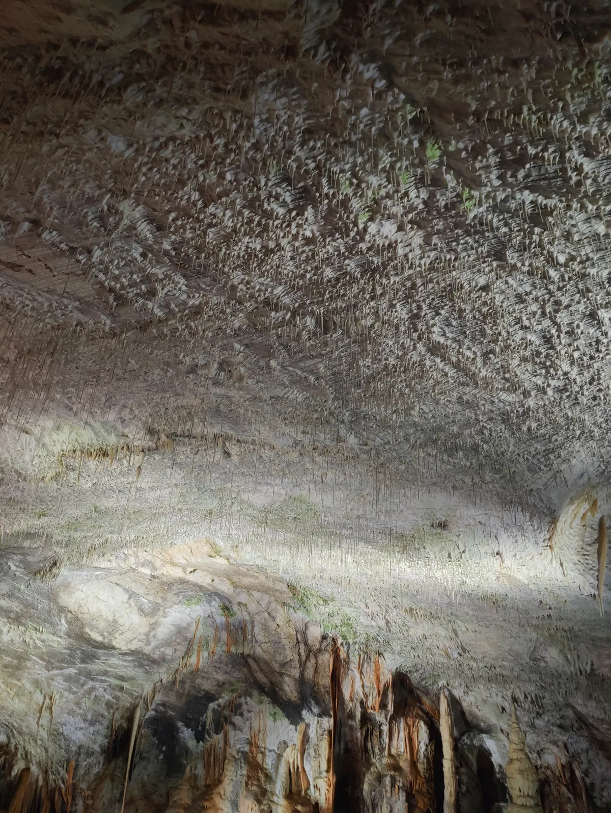 Recensione Recensione Grotte di Postumia: trenino, storia ed esperienza