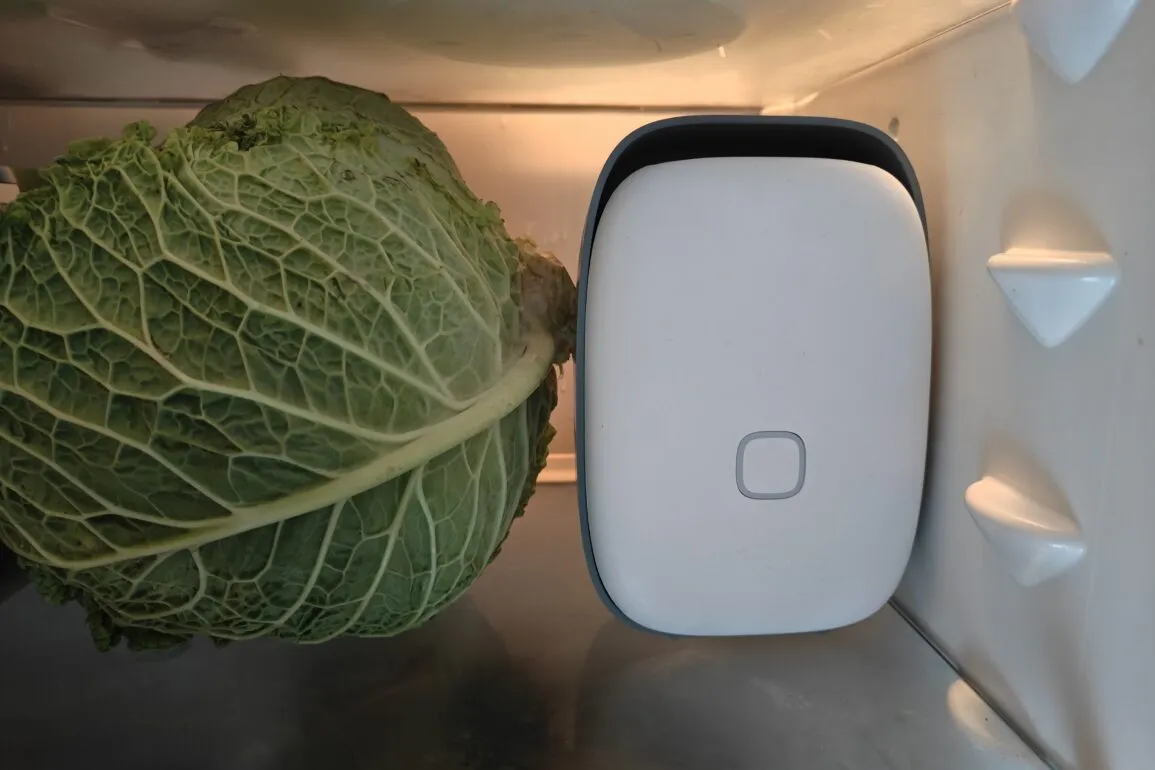 Recensione Recensione Vitesy Shelfy: Il Purificatore Smart Per Frigo Made in Italy